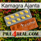 Kamagra Ajanta 42